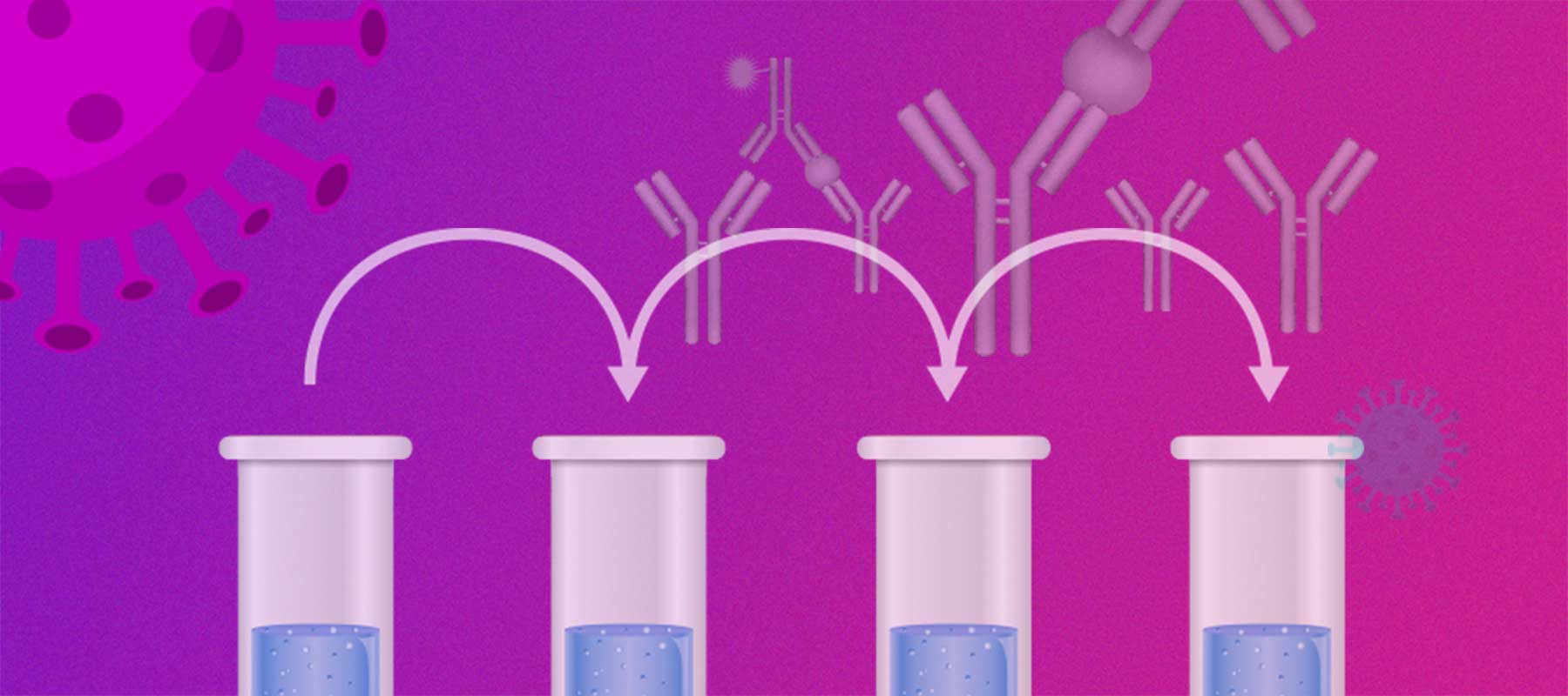 Serial dilution