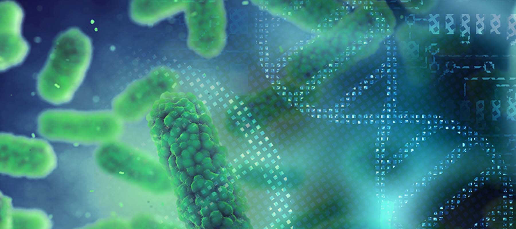 Definition Of Transformation In Biology Hudson Robotics