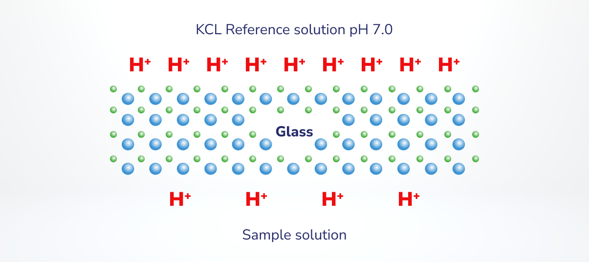 Why pH Meters Matter: Improving Efficiency in pH Measurement